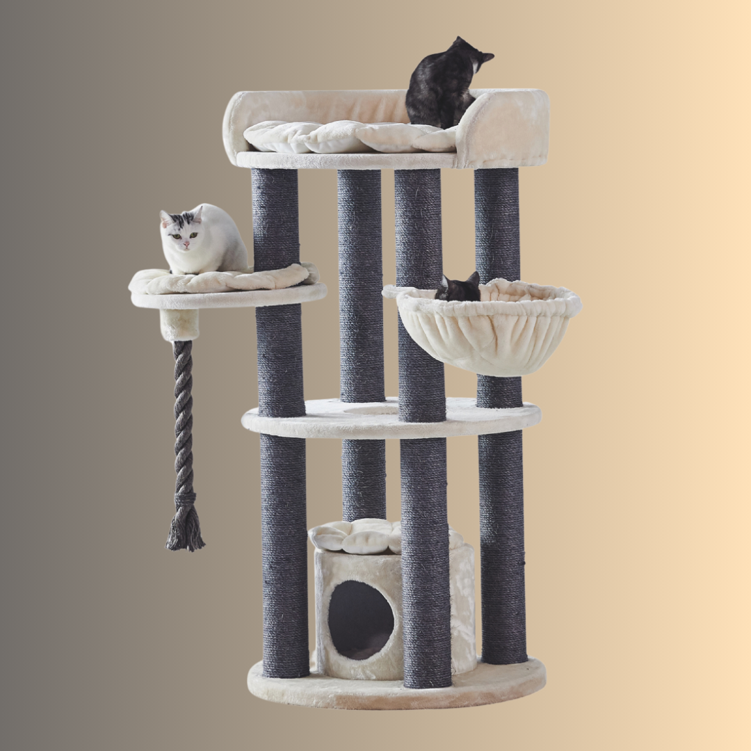 Arbre à chat - ARDA