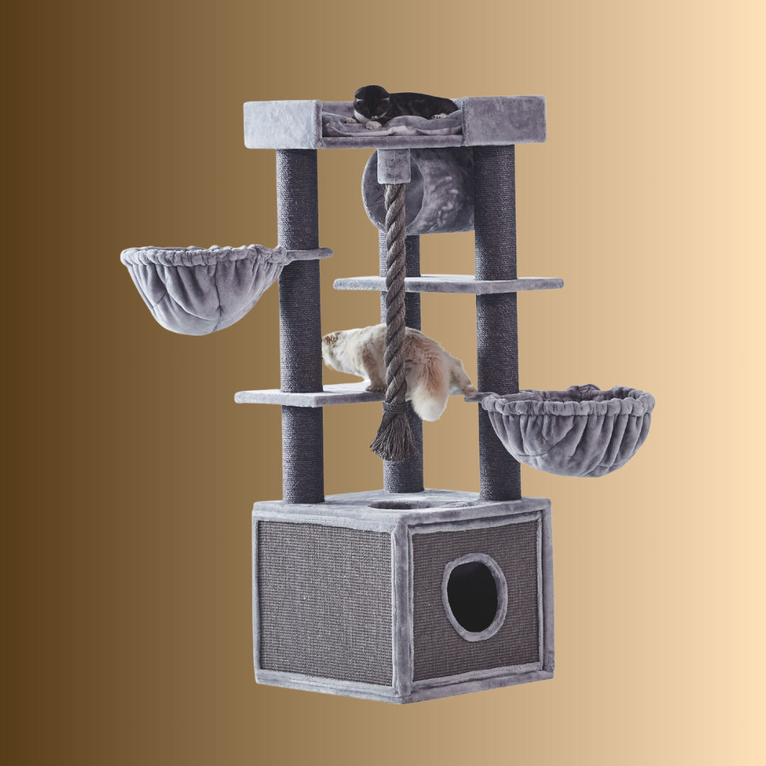 Arbre à chat - ADILE