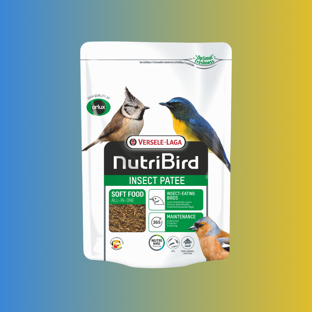 NutriBird Insect – Pâtée enrichie en insectes pour oiseaux insectivores