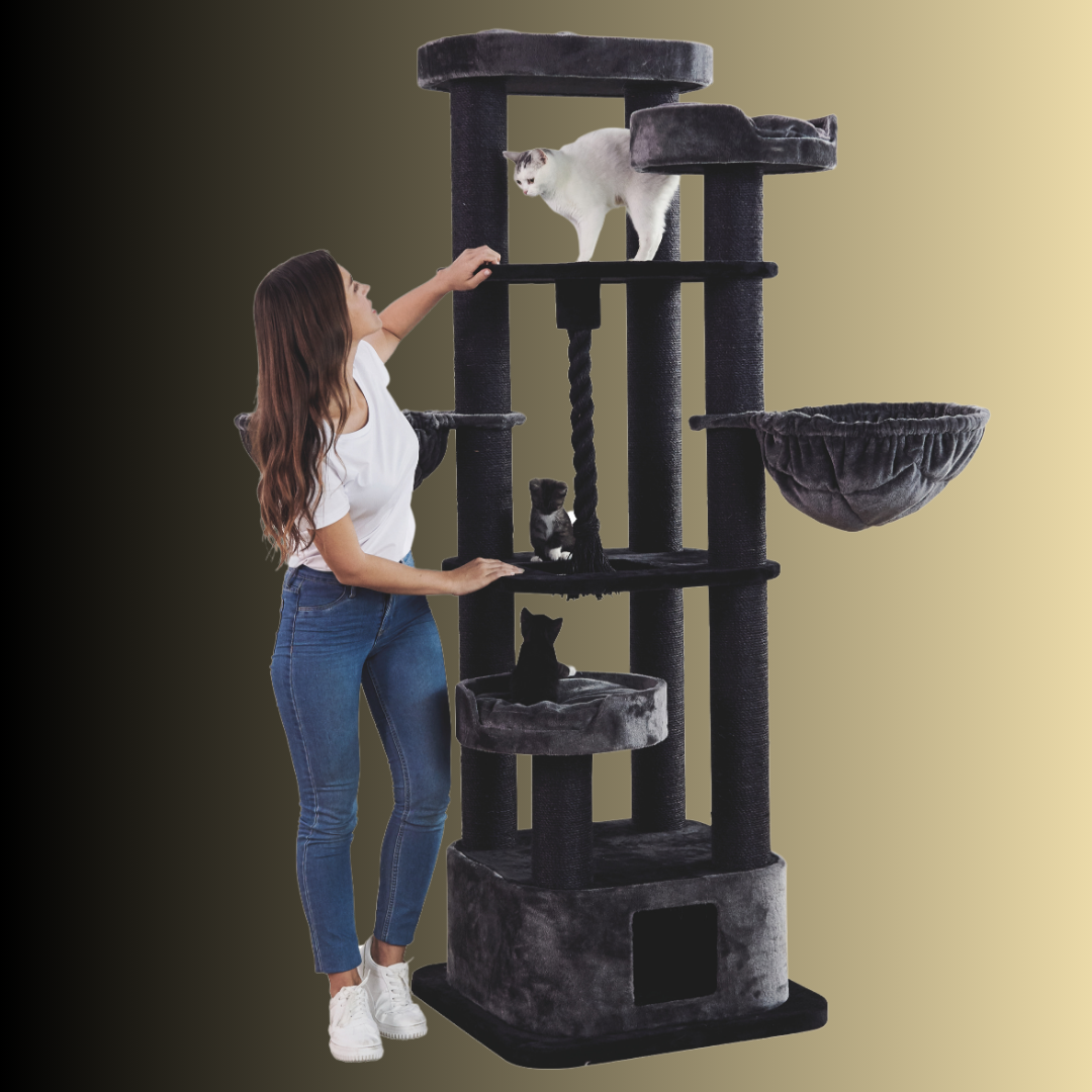 Arbre à chat - MUSAN - Noir