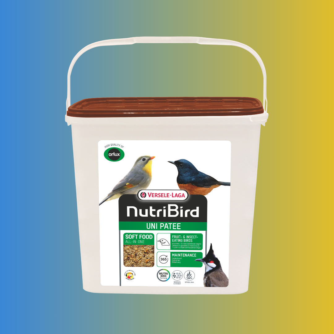 NutriBird Uni – Pâtée complète pour oiseaux exotiques