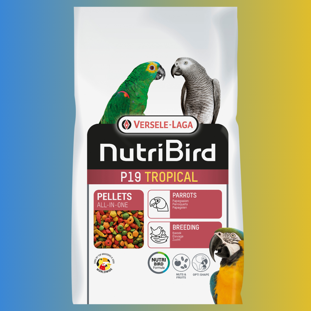 NutriBird P19 Tropical - 10kg