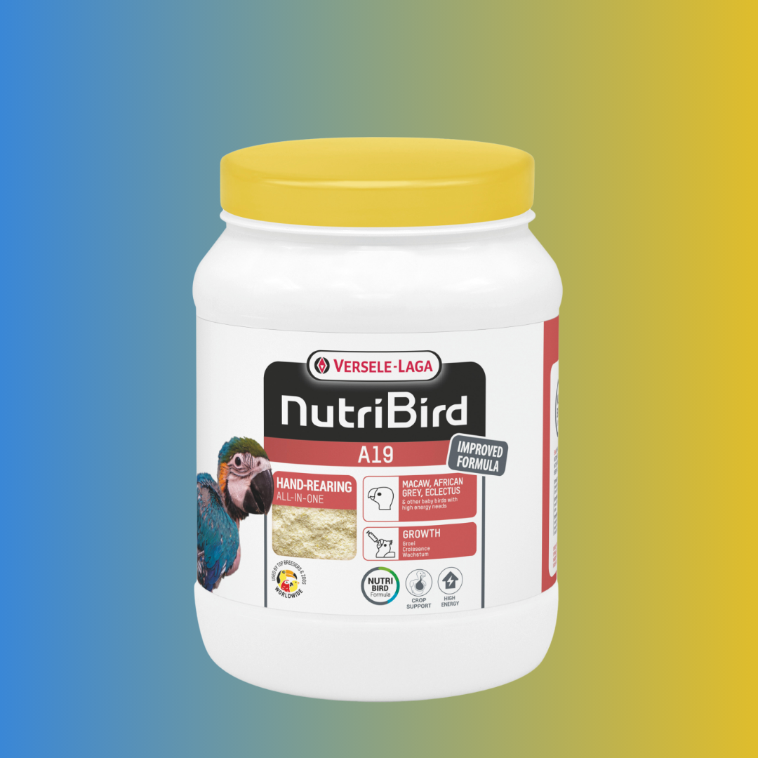 NutriBird Uni – Pâtée complète pour oiseaux exotiques