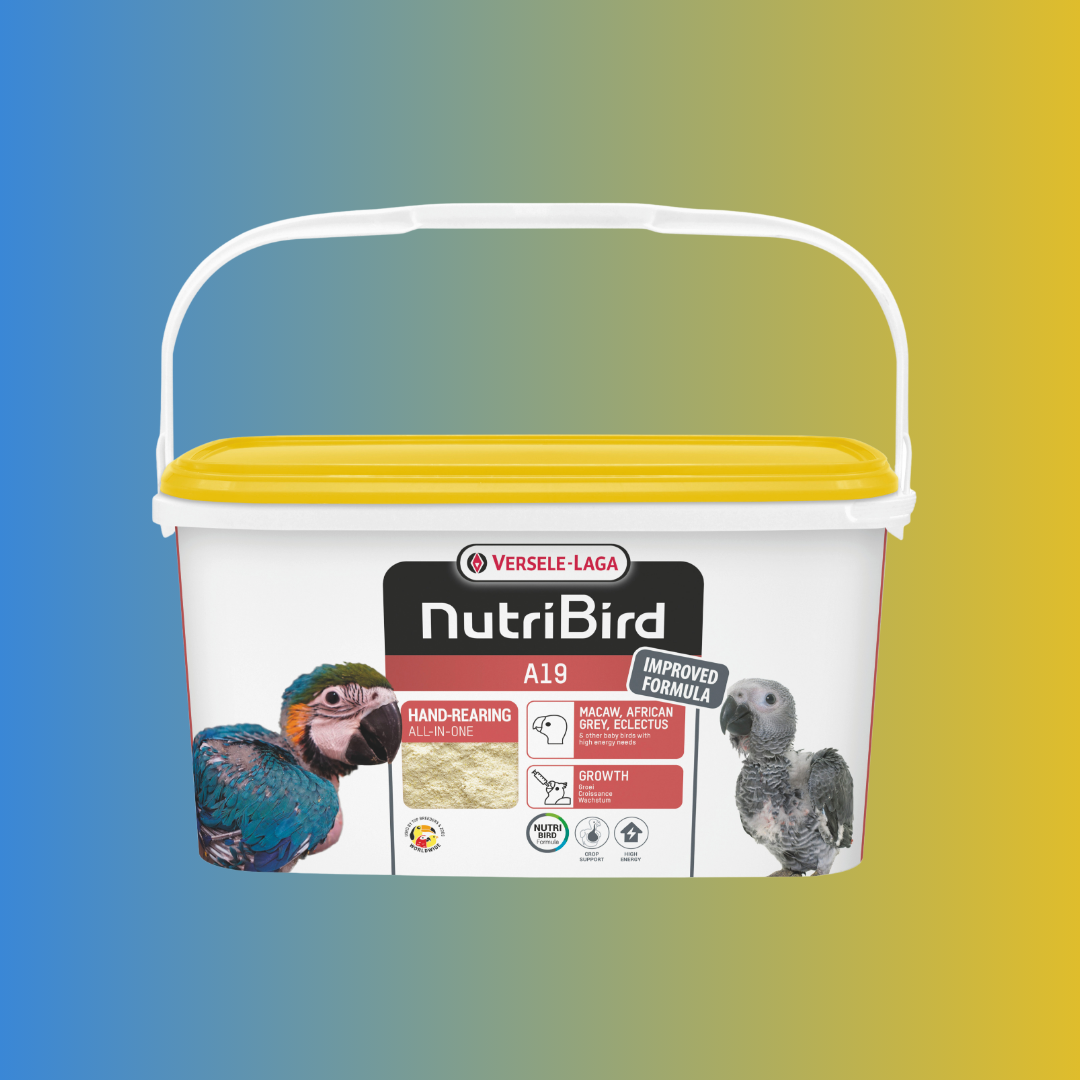 NutriBird A19  - 3kg