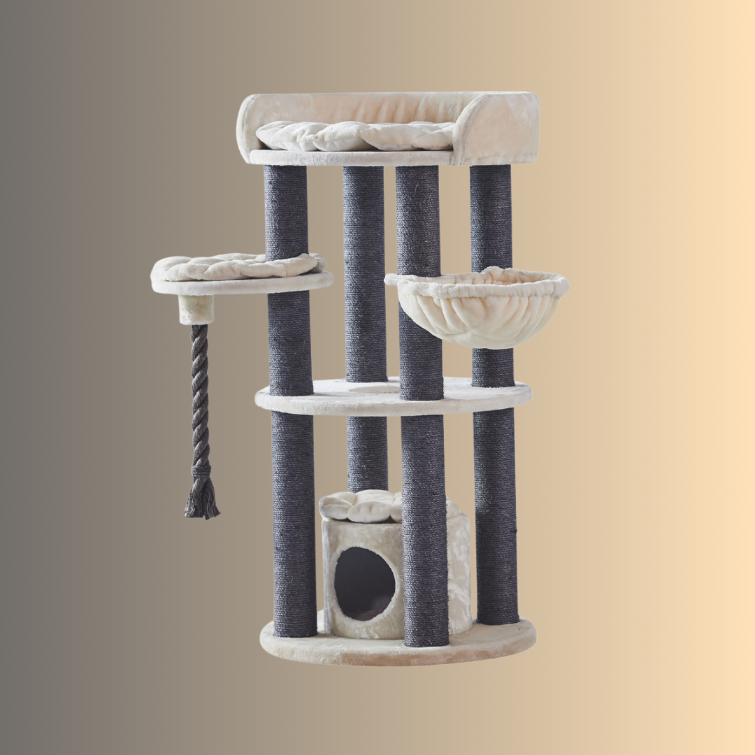 Arbre à chat - ARDA