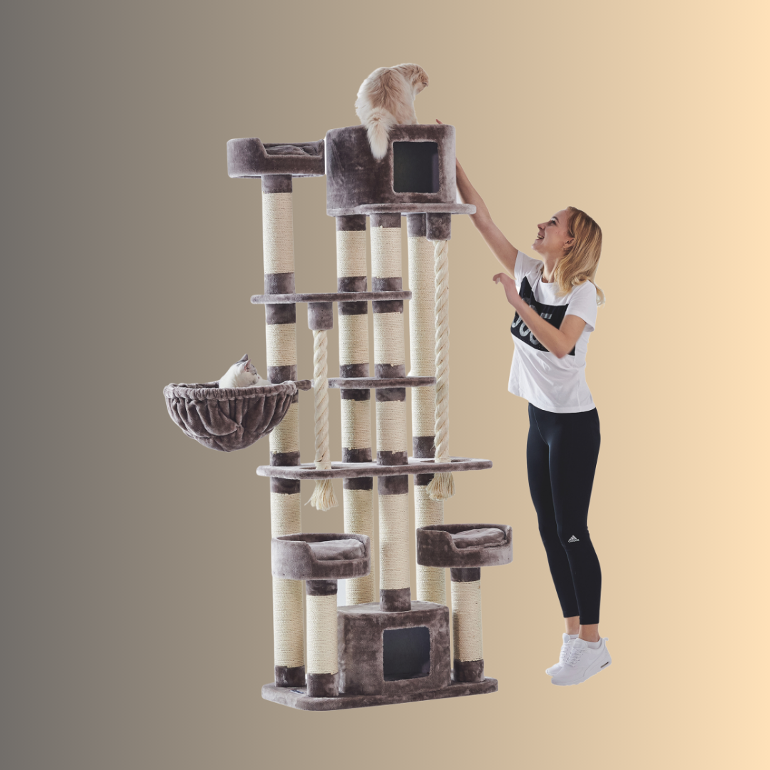 Arbre à chat - KYLA - Cappuccino