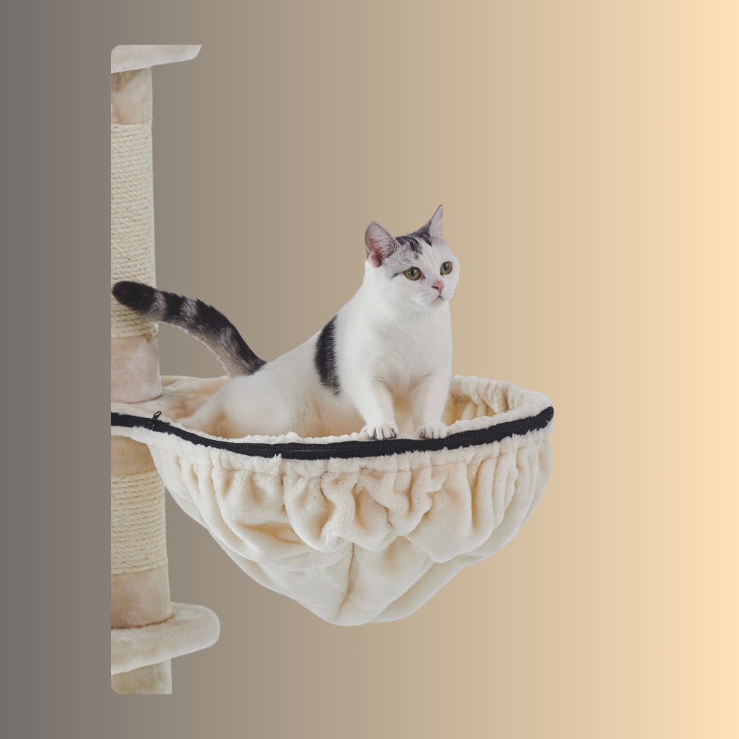 Arbre à chat - ELIF