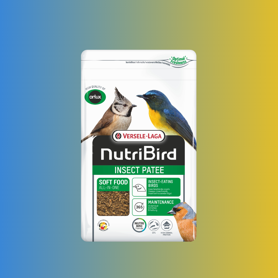 NutriBird Insect – Pâtée enrichie en insectes pour oiseaux insectivores