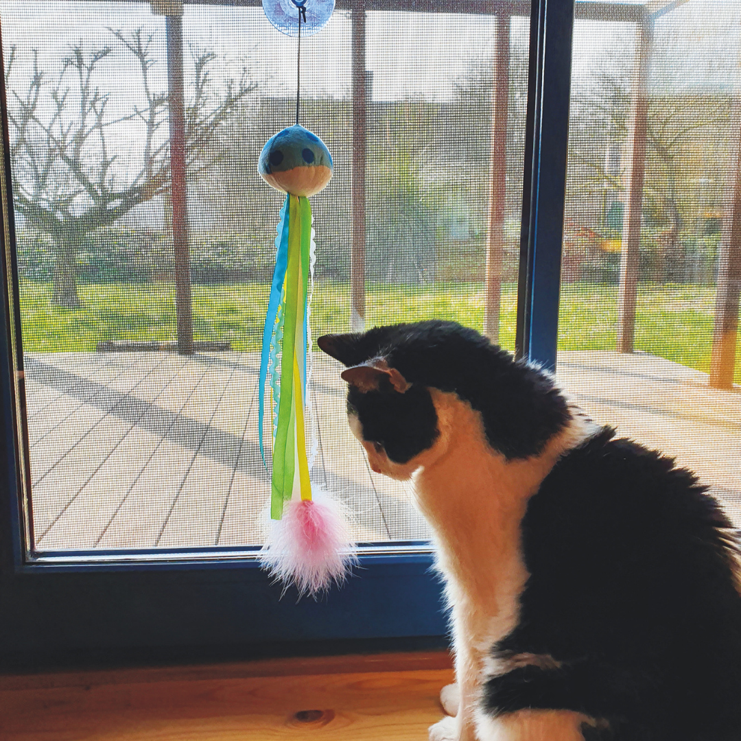 Jouet - Ventosa avec herbe à chat