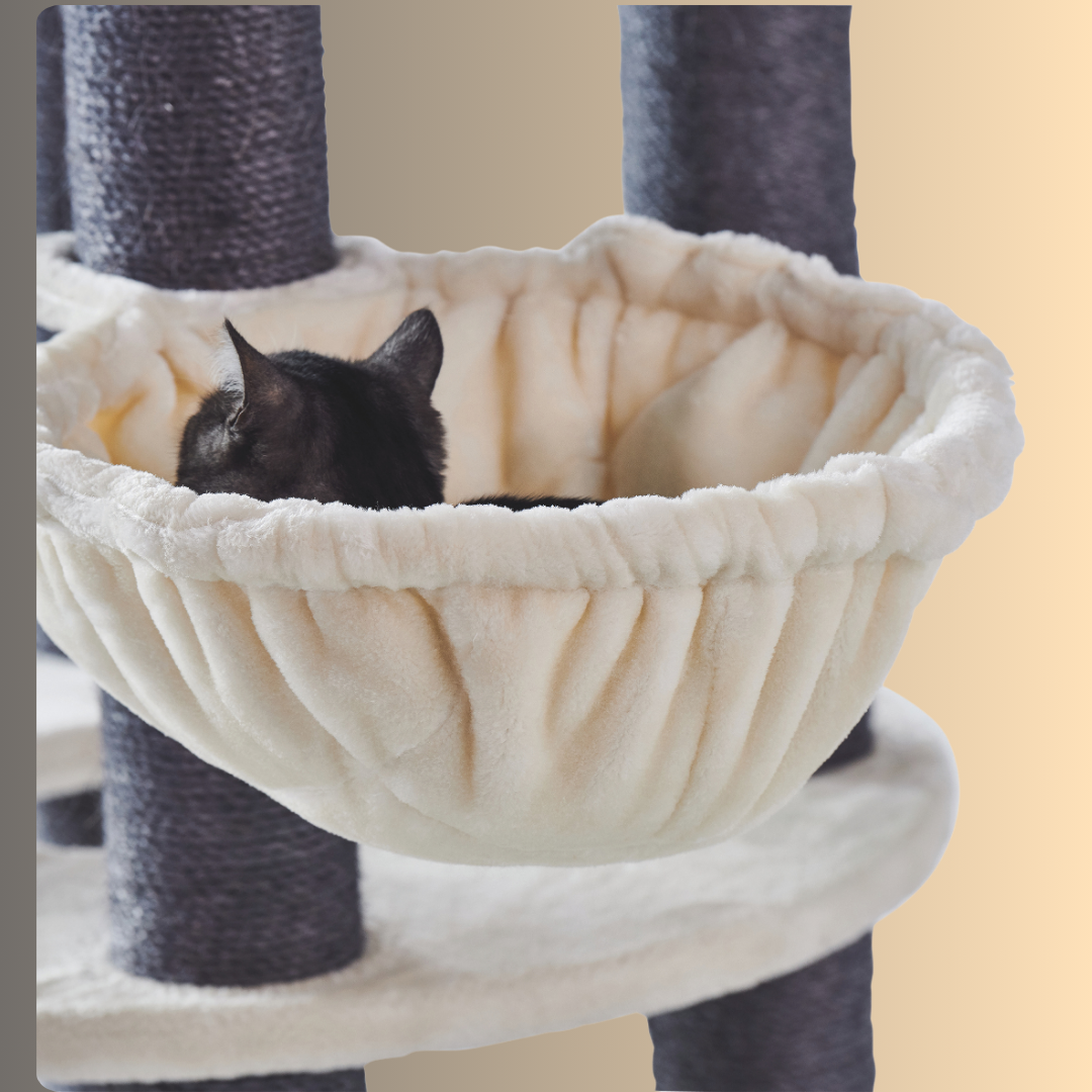 Arbre à chat - ARDA