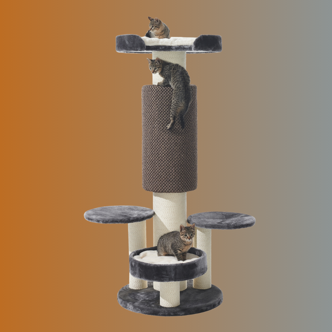 Arbre à chat - ARTO