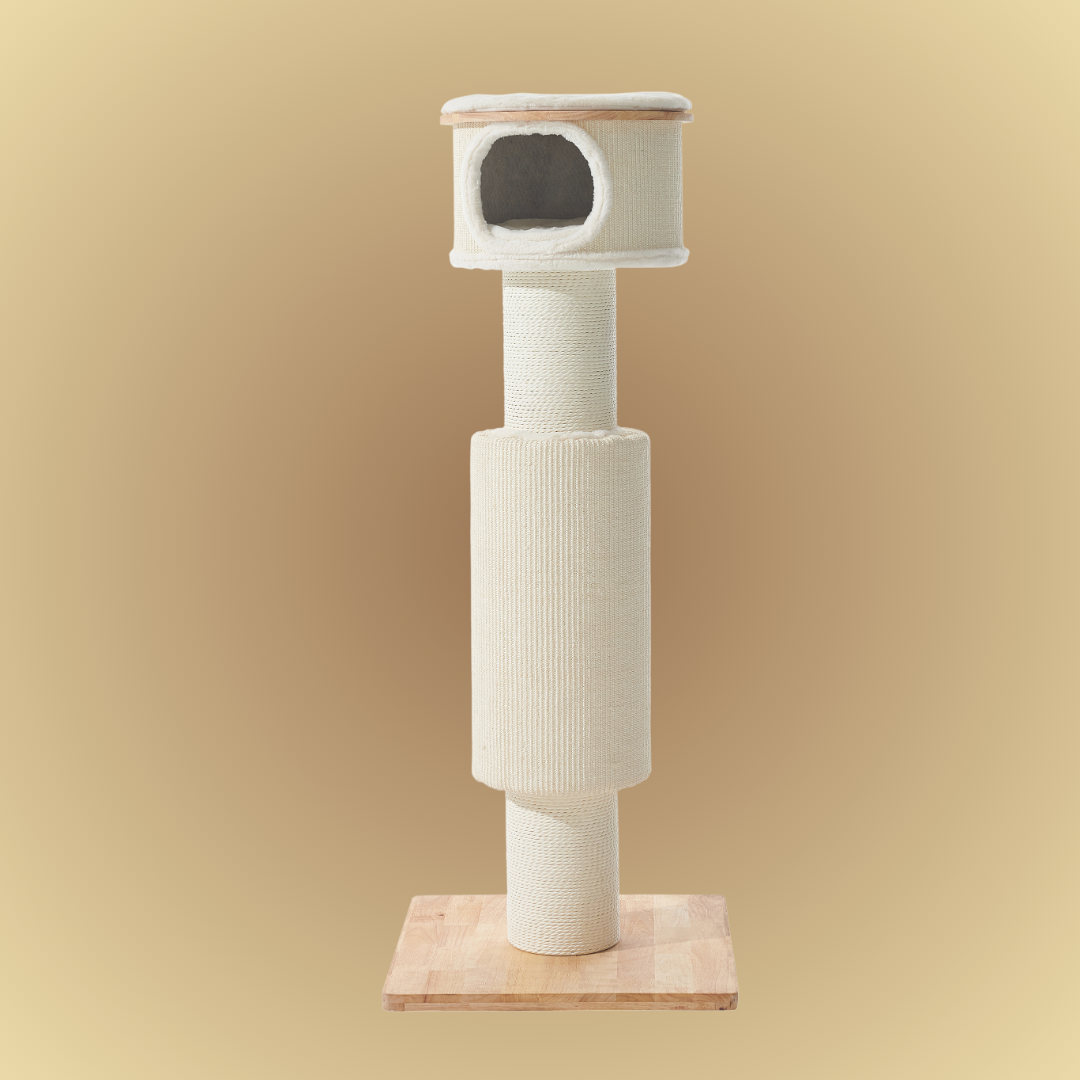 Arbre à chat - BRAN