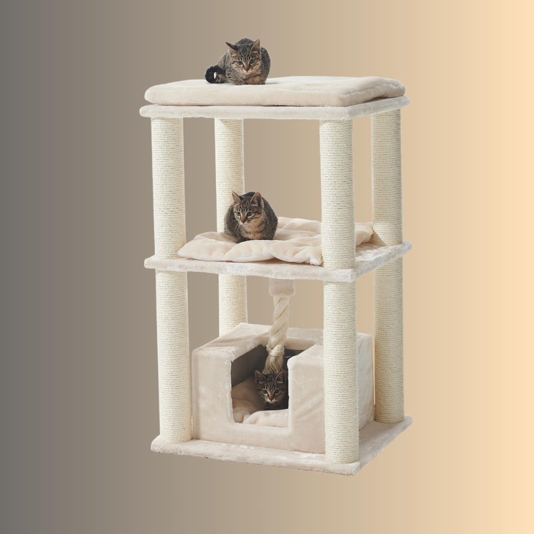 Arbre à chat - BRIDA - Crème