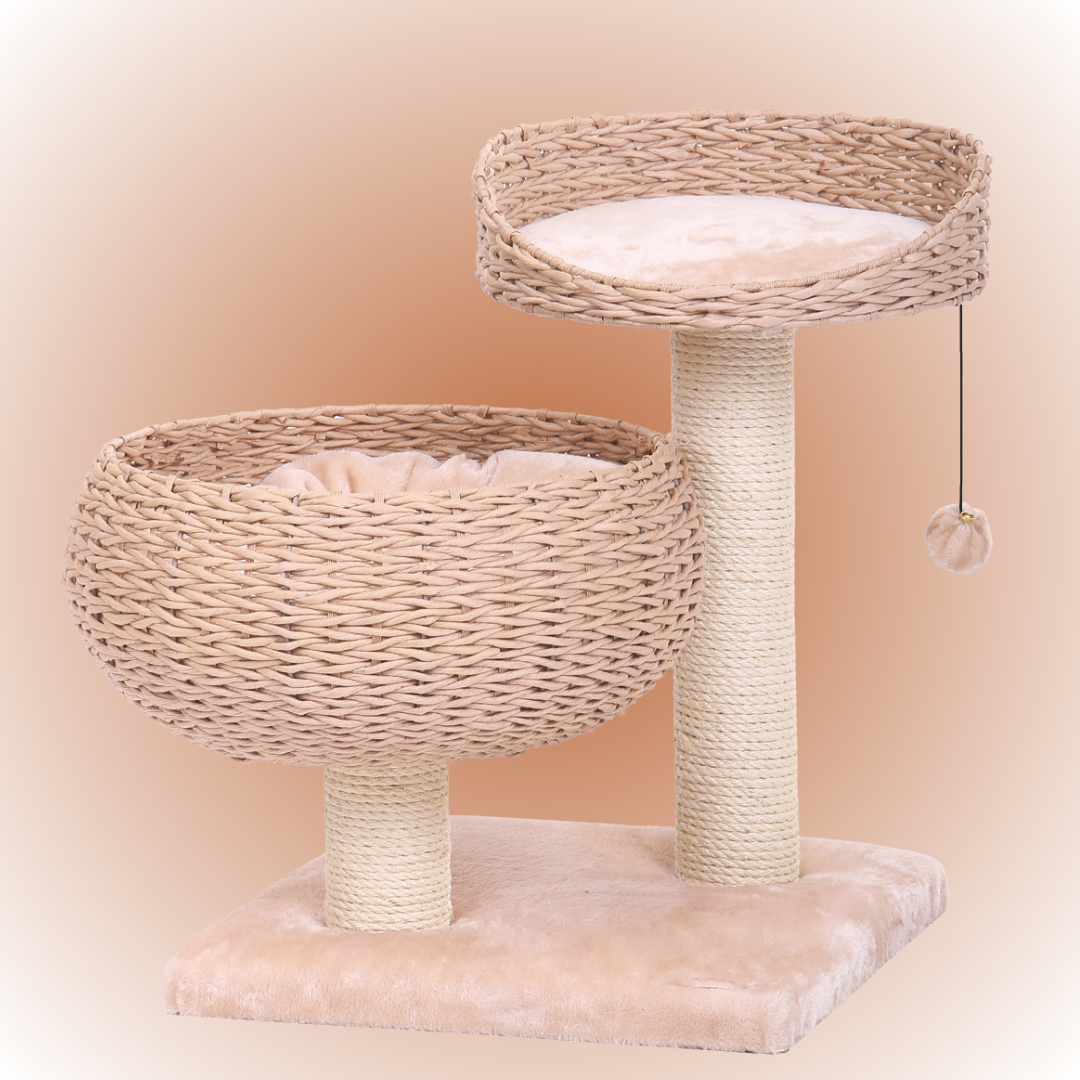 Arbre à chat - CASCA