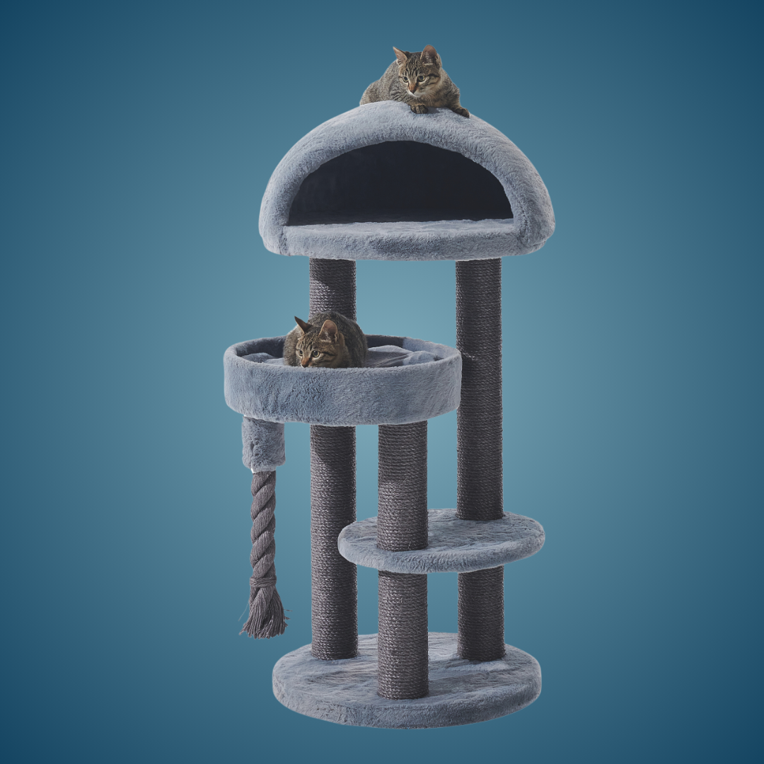 Arbre à chat - LITA