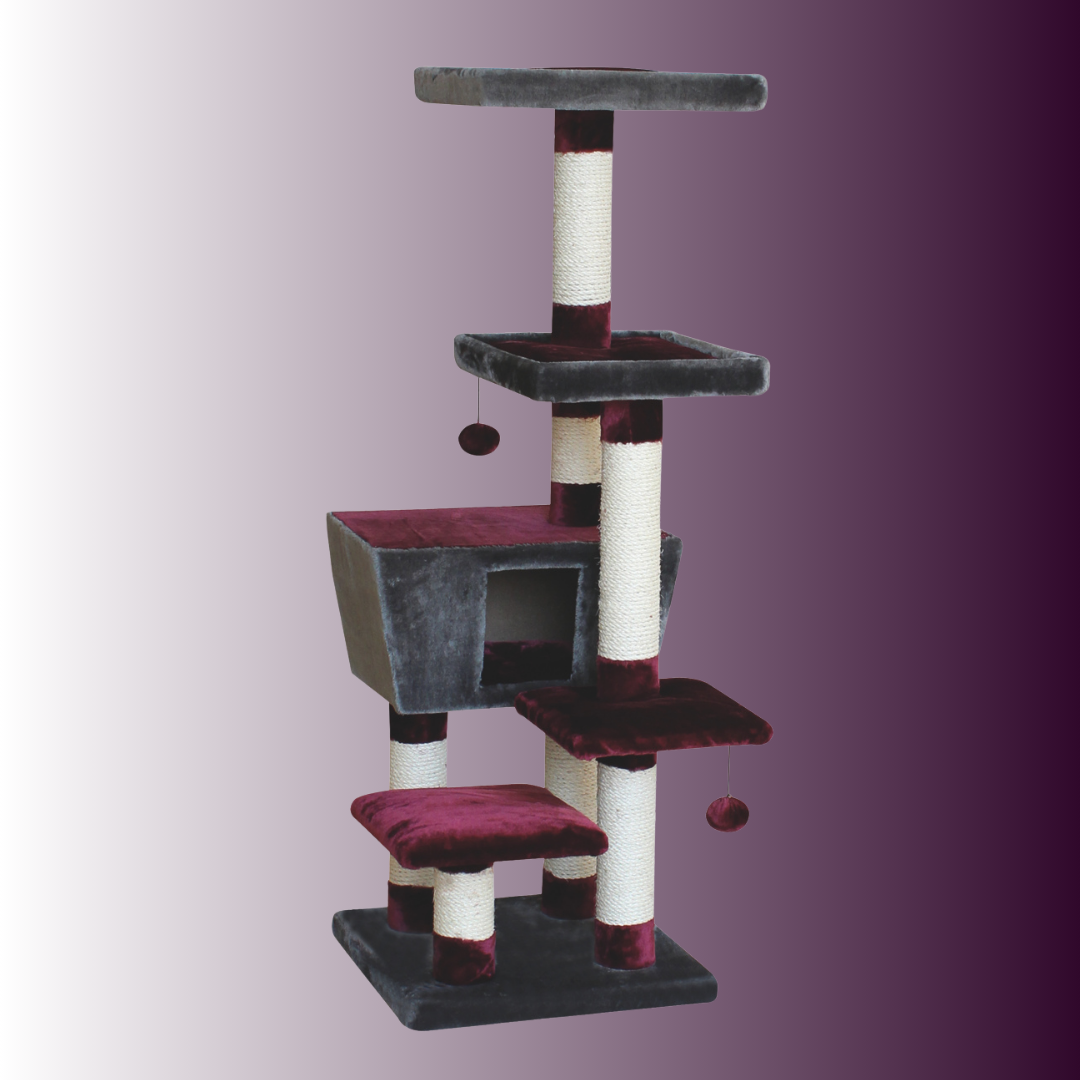Arbre à chat - MOTEGA - Bordeau-Anthracite