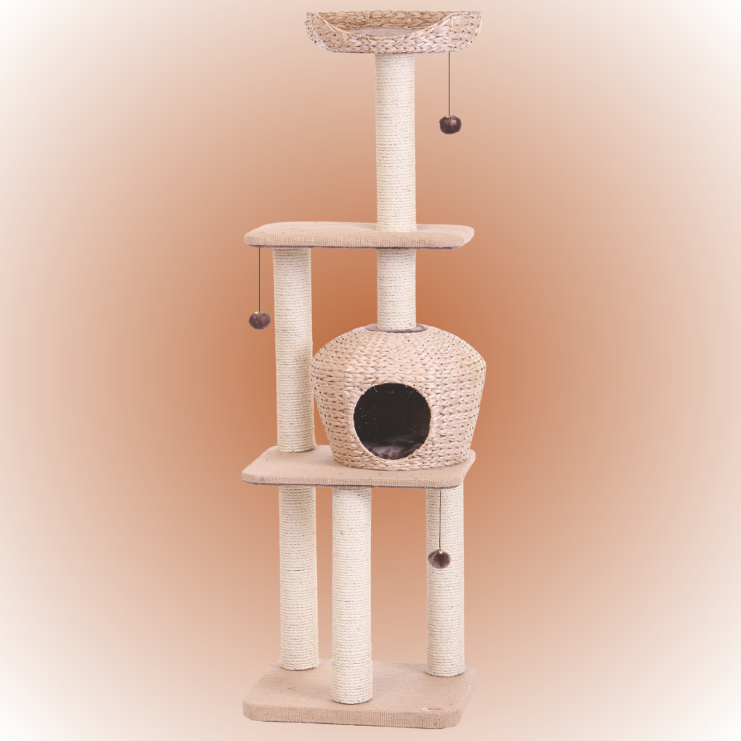 Arbre à chat - NANUK