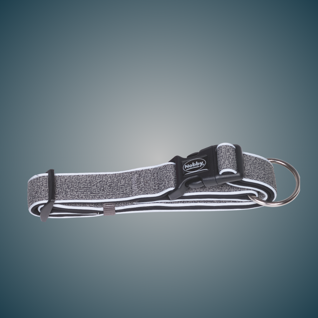 Collier pour chien - Cayo - Gris