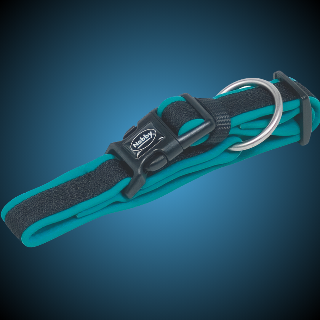 Collier pour chien - Mesh Preno - Turquoise