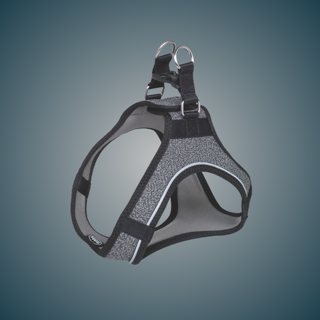 Harnais pour chien - Cayo - Gris