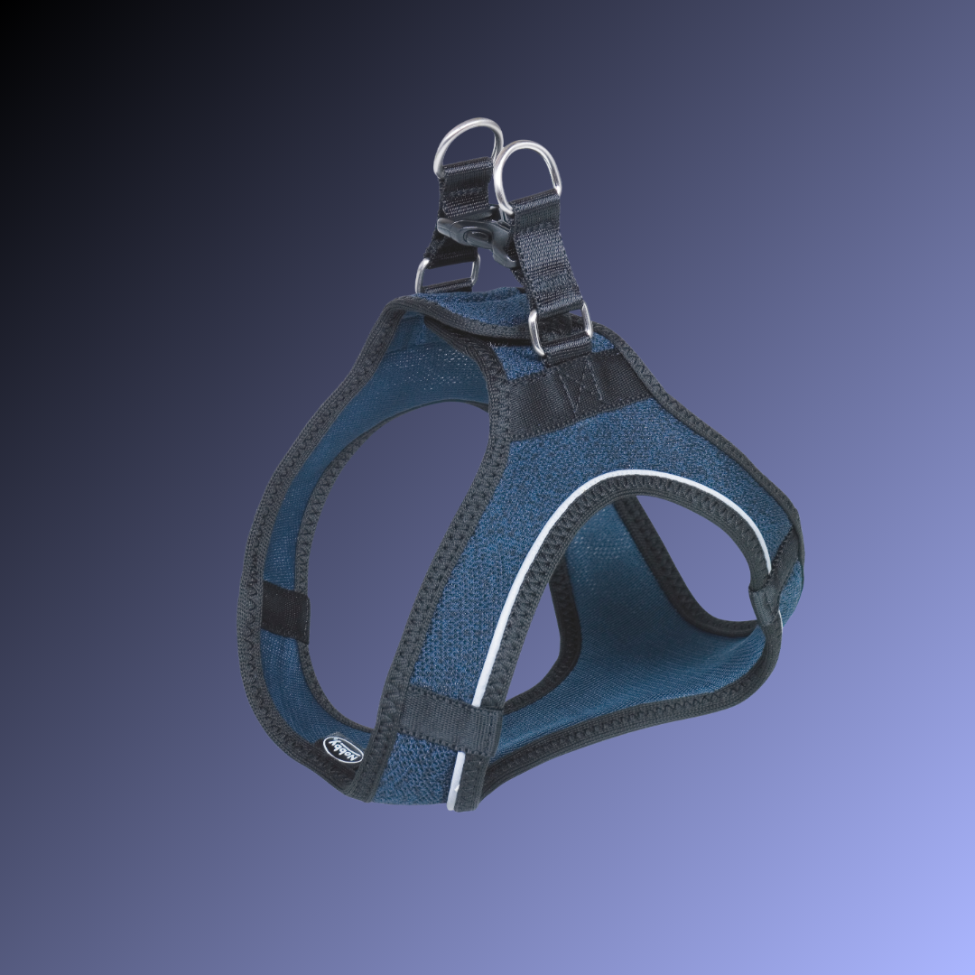 Harnais pour chien - Cayo - Navy