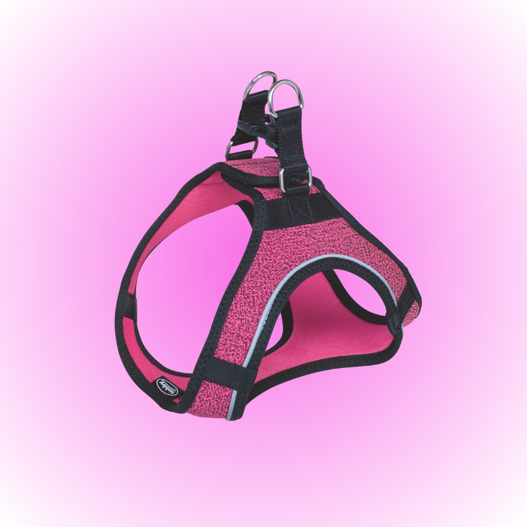 Harnais pour chien - Cayo - Rose