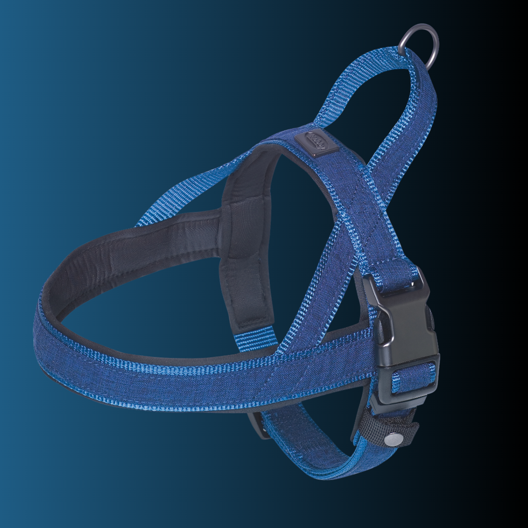 Harnais norvégien pour chien - Linen Deluxe - Bleu