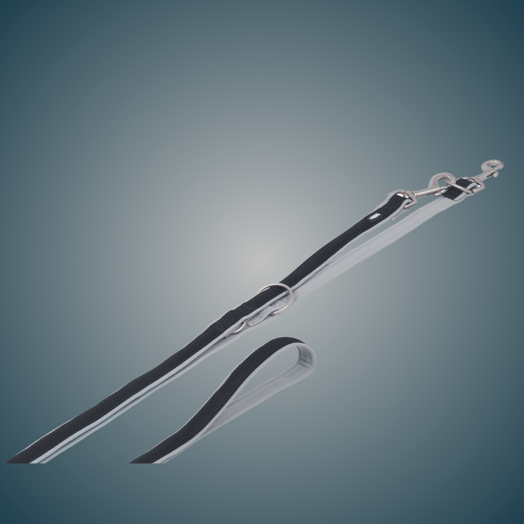 Laisse éducative pour chien - Mesh Preno - Gris