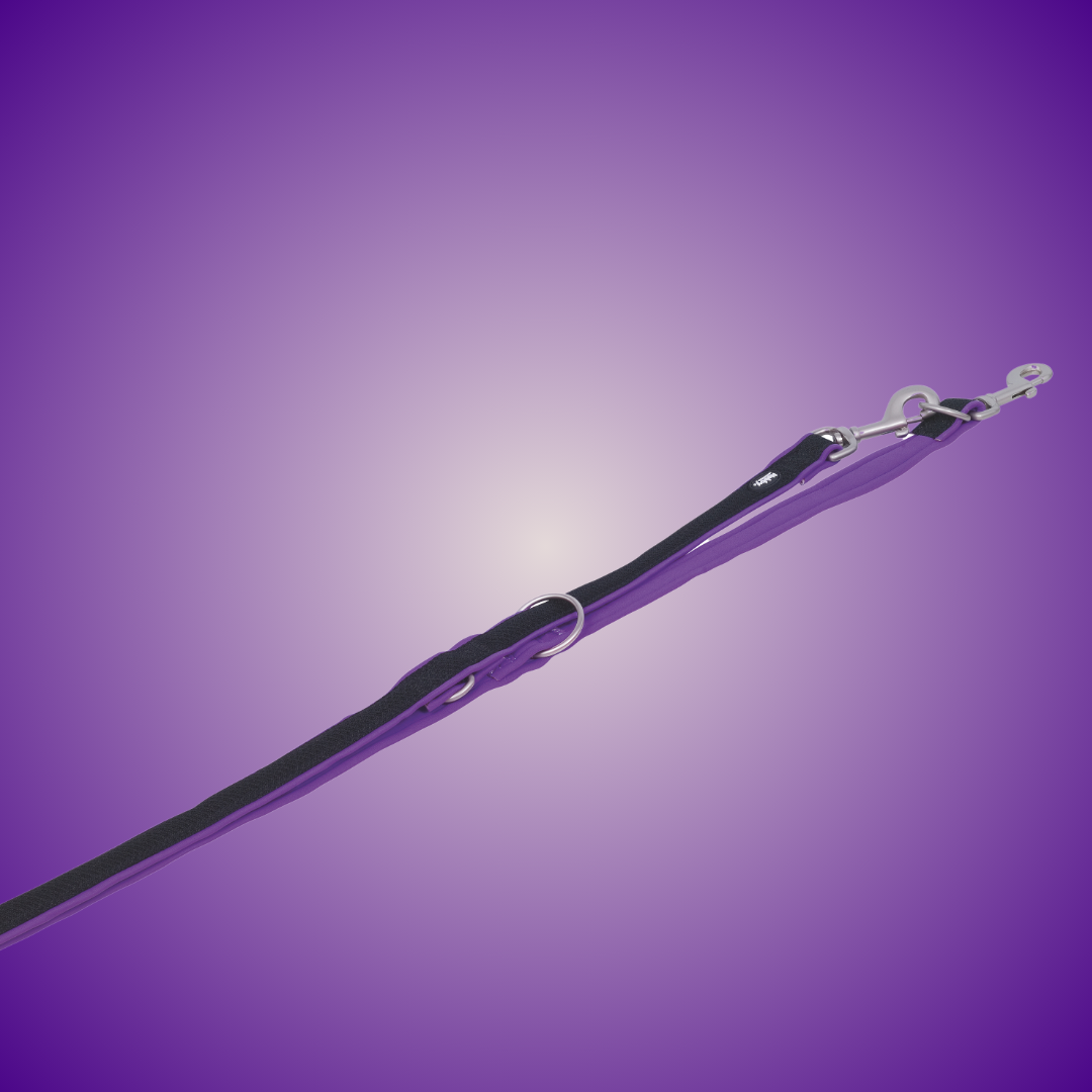 Laisse éducative pour chien - Mesh Preno - Violet