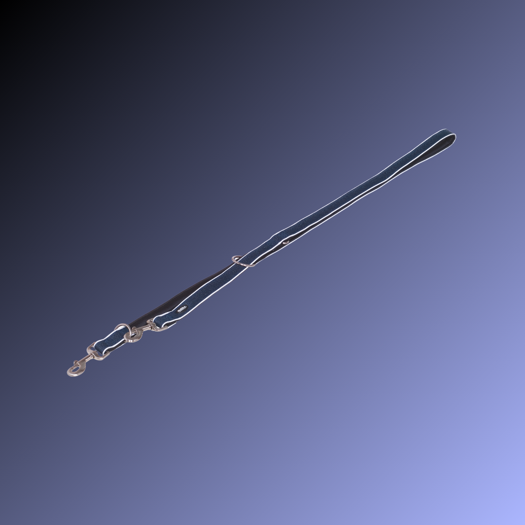 Laisse Éducative pour chien - Cayo - Navy