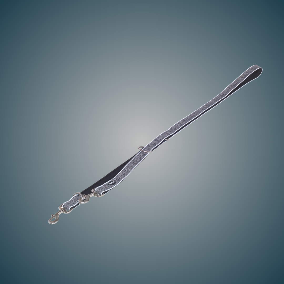 Laisse Éducative pour chien - Cayo - Gris