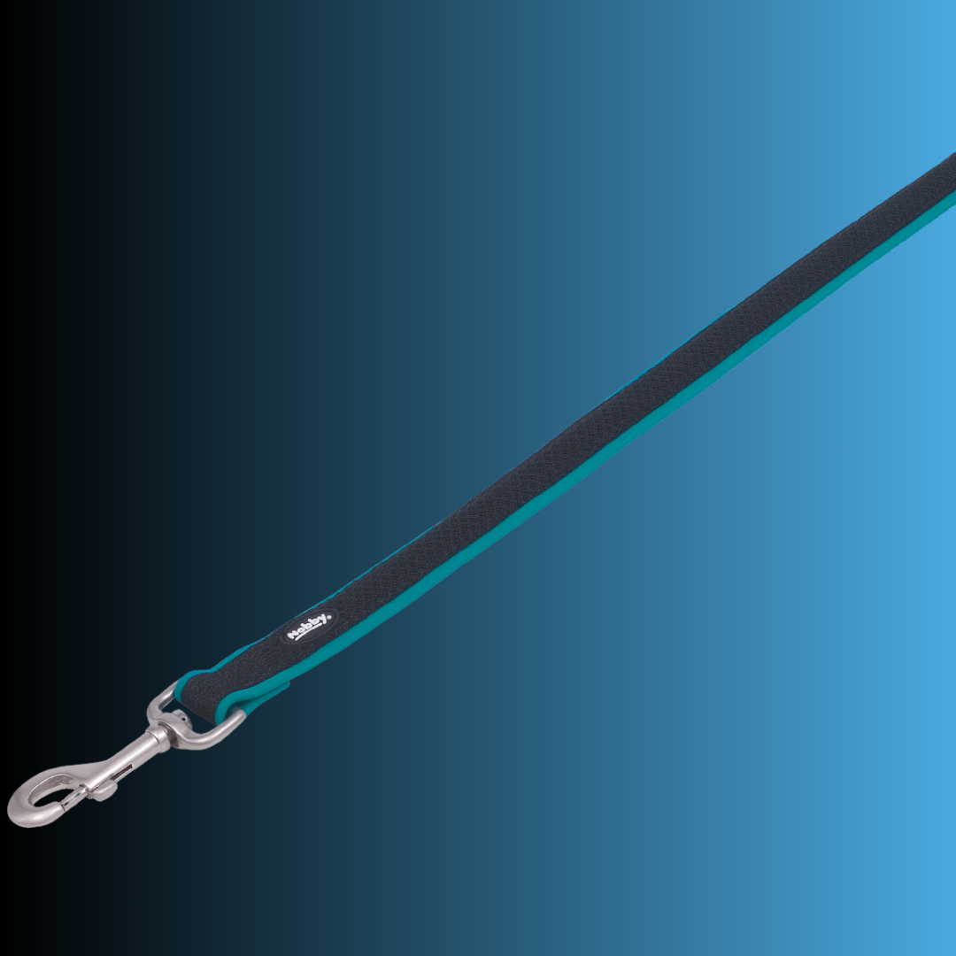 Laisse pour chien -  Mesh Preno - Turquoise