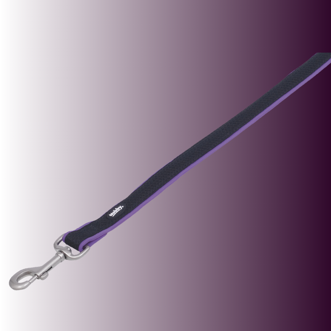 Laisse pour chien - Mesh Preno - Violet